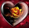 robin_morrison